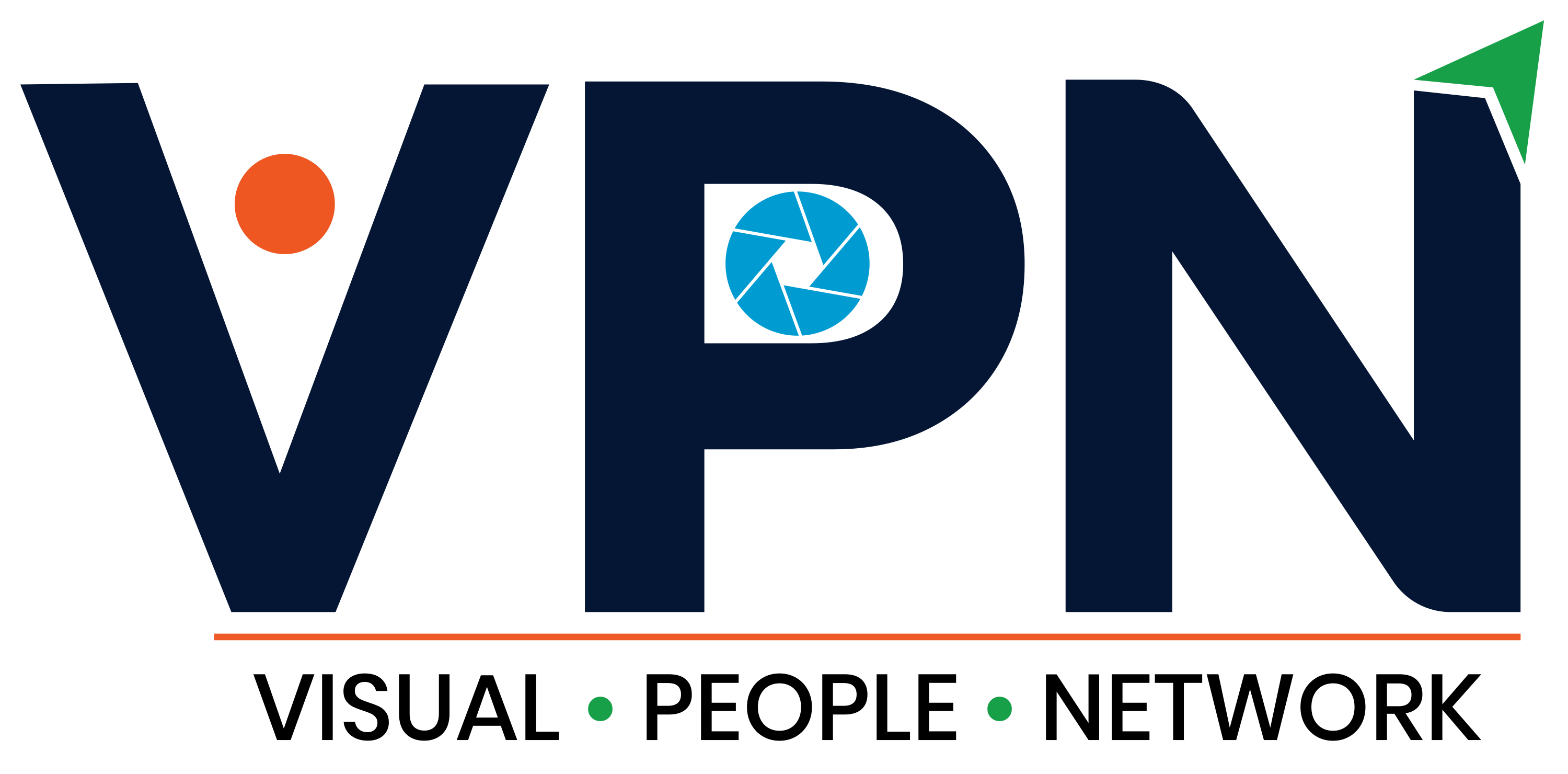 VPN Logo
